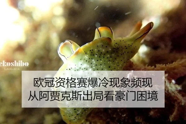 ou-guan-zi-ge-sai-bao-leng-xian-xiang-pin-xian-cong-a-jia-ke-si-chu-ju-kan-hao-men-kun-jing-1-349.jpg